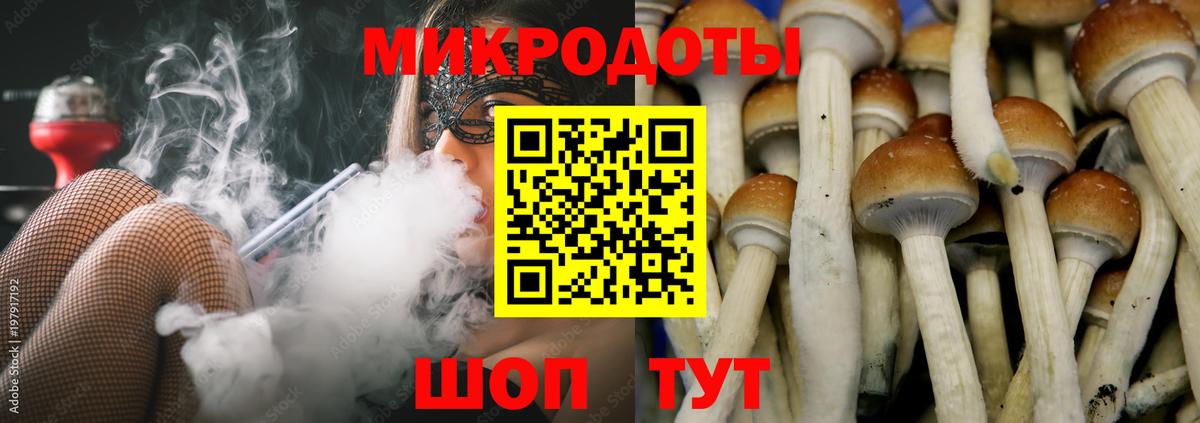 Галлюциногенные грибы Magic Shrooms  Вход с VPN  Вичуга  Галлюциногенные грибы Cubensis 